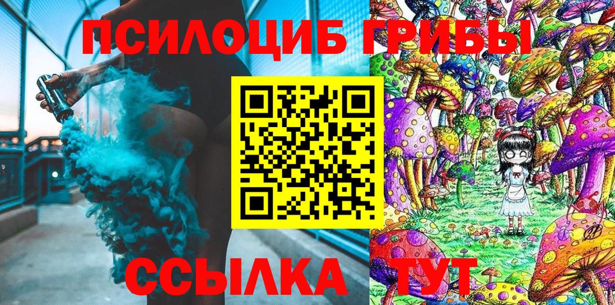 Галлюциногенные грибы MAGIC MUSHROOMS  Вход с VPN  Старая Русса 
