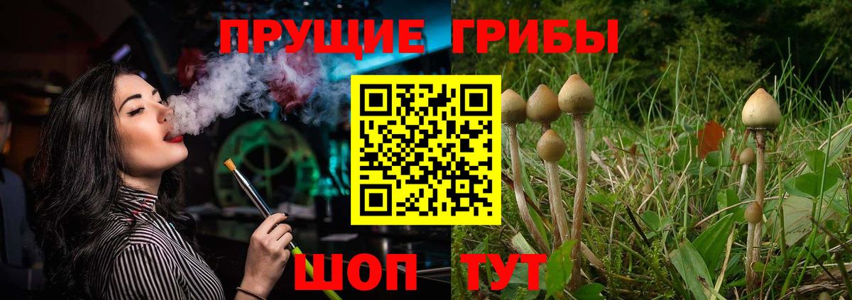 Псилоцибиновые грибы Cubensis Старая Русса